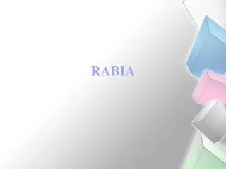 rabia
