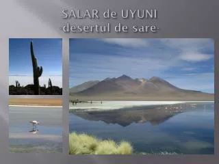 SALAR de UYUNI - desertul de sare -