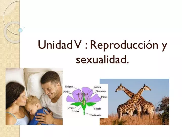 unidad v reproducci n y sexualidad