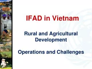 IFAD in Vietnam