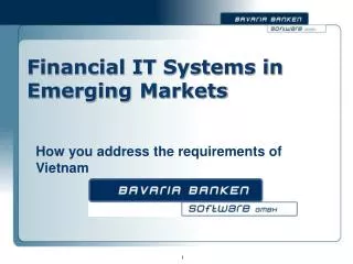 Financial IT Systems in Emerging	 Markets