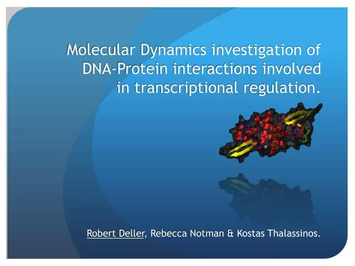 molecular dynamics investigation of dna protein interactions involved in transcriptional regulation