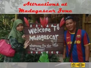 Attractions at Madagascar Zone