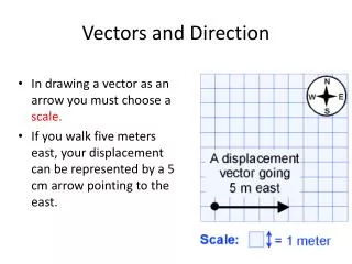 Vectors and Direction