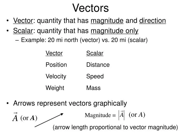 vectors