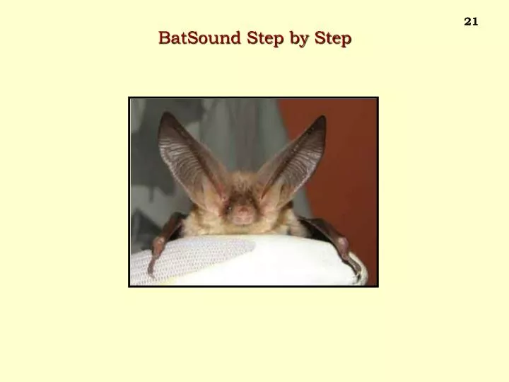 batsound step by step