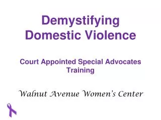 Demystifying Domestic Violence Court Appointed Special Advocates Training