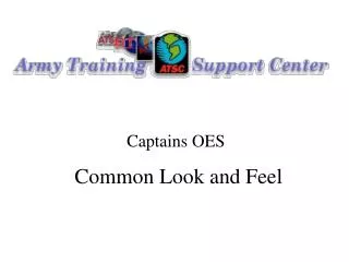 Captains OES Common Look and Feel