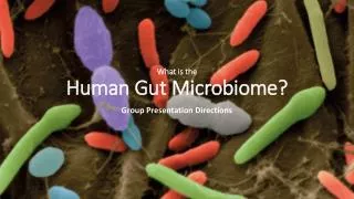 What is the Human Gut Microbiome ?