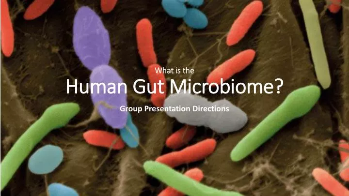 what is the human gut microbiome