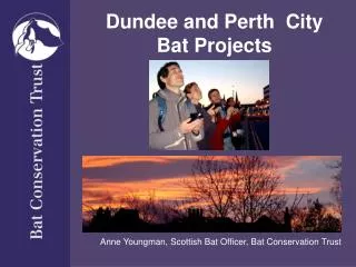 Dundee and Perth City Bat Projects