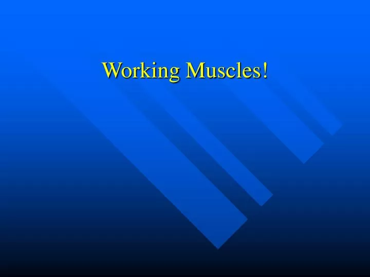 working muscles