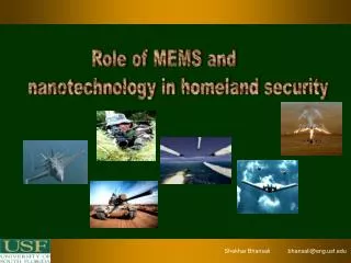 Role of MEMS and nanotechnology in homeland security