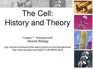 Cell Theory and the Scientists Who Helped Shape It