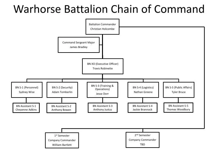 warhorse battalion chain of command