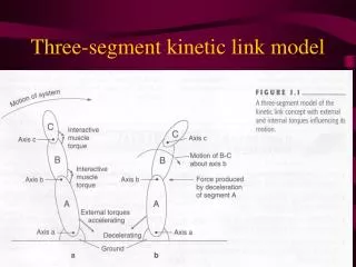 Three-segment kinetic link model