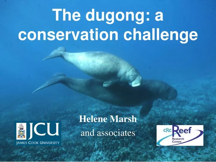 the dugong a conservation challenge