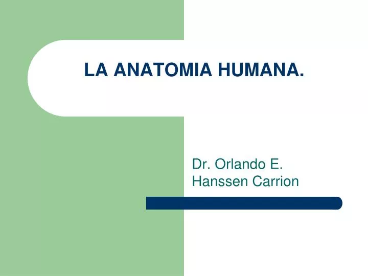 la anatomia humana