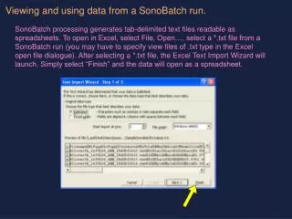 Viewing and using data from a SonoBatch run.