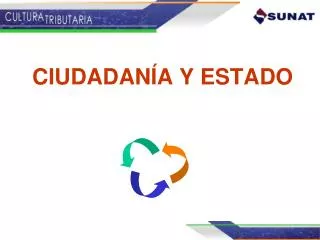 ciudadan a y estado