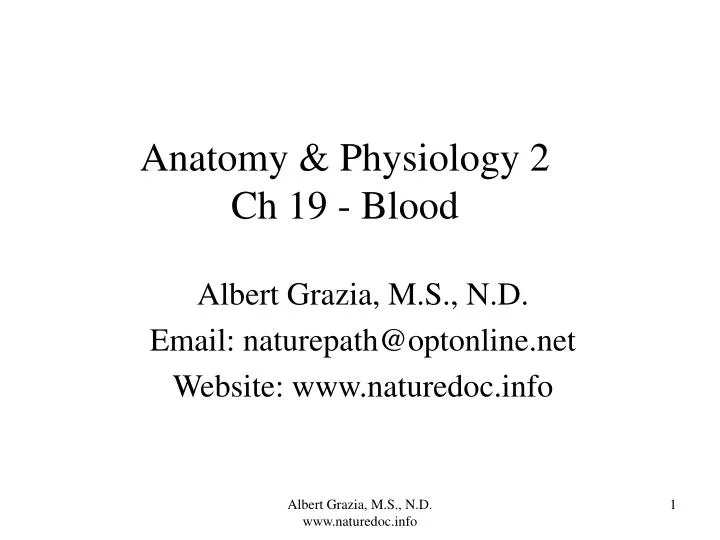 anatomy physiology 2 ch 19 blood