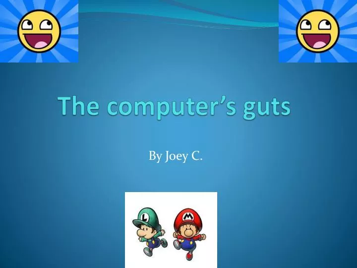 the computer s guts