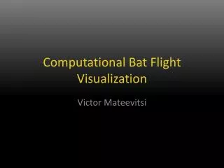 Computational Bat Flight Visualization