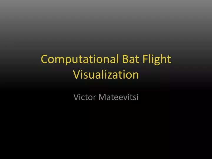 computational bat flight visualization