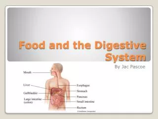 Food and the Digestive System