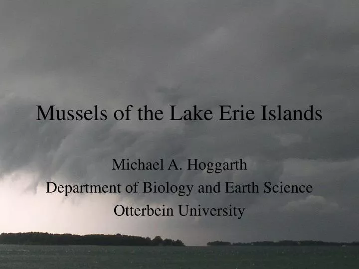 mussels of the lake erie islands