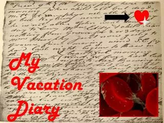 My Vacation Diary