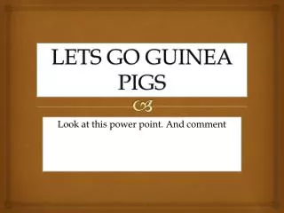 LETS GO GUINEA PIGS