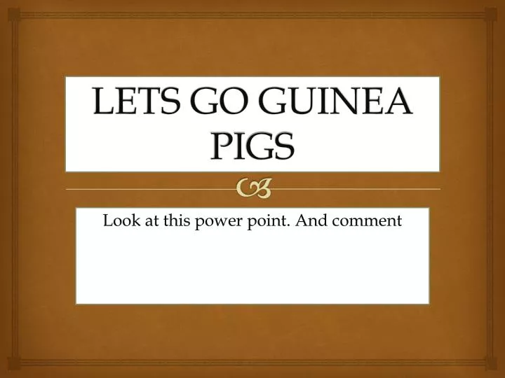 lets go guinea pigs