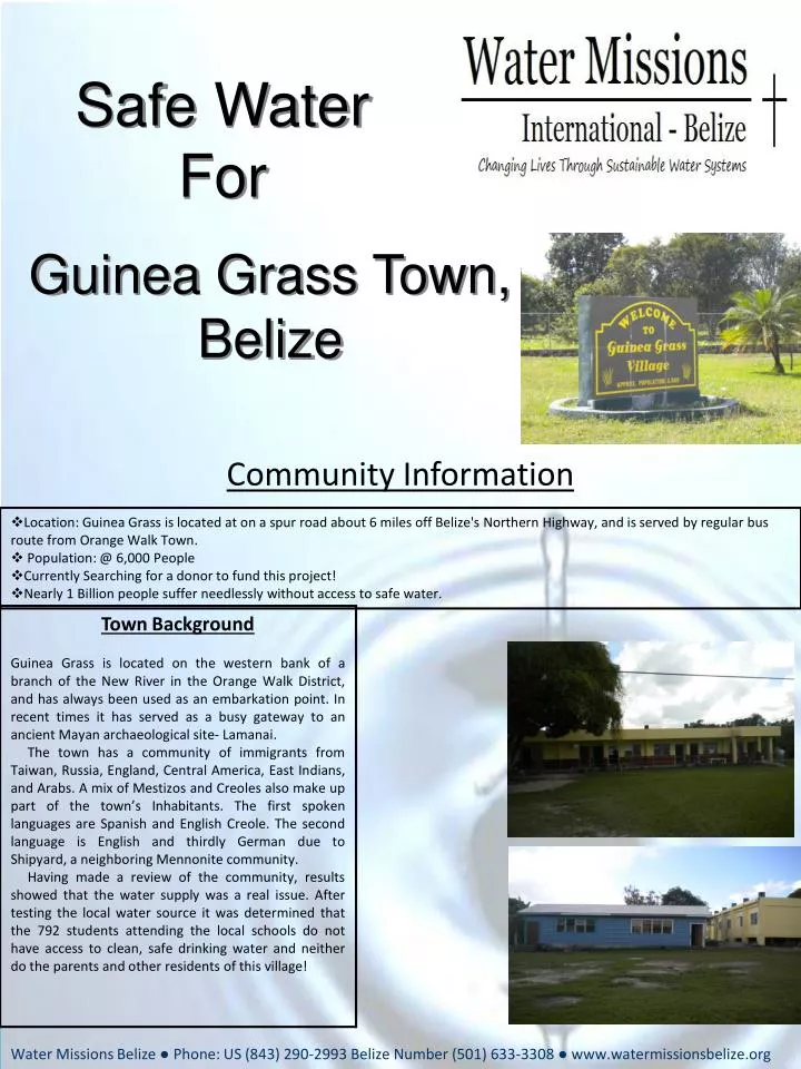 guinea grass town belize