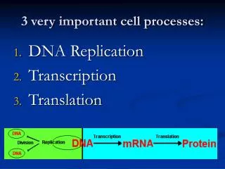 3 very important cell processes: