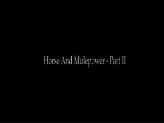 Horse And Mulepower - Part II