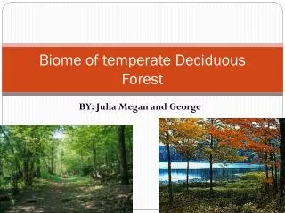 Biome of temperate Deciduous Forest