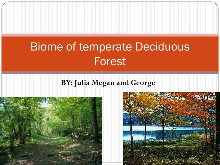 biome of temperate deciduous forest