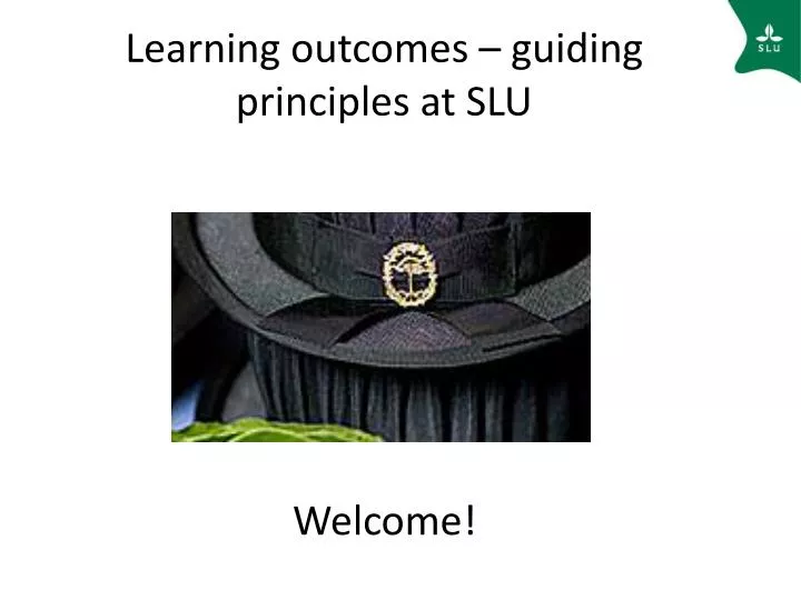 learning outcomes guiding principles at slu