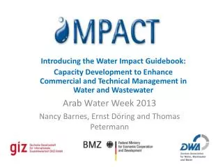 Introducing the Water Impact Guidebook: