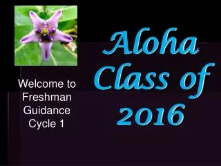 Aloha Class of 2016