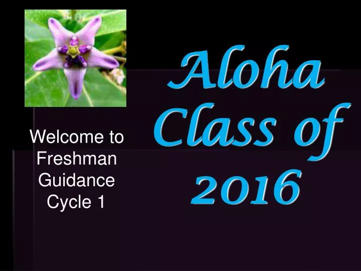 aloha class of 2016