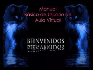manual b sico de usuario de aula virtual