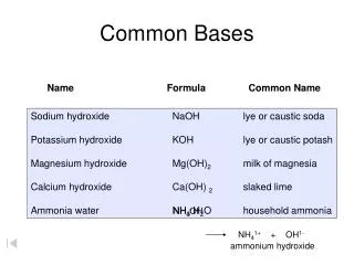 Common Bases