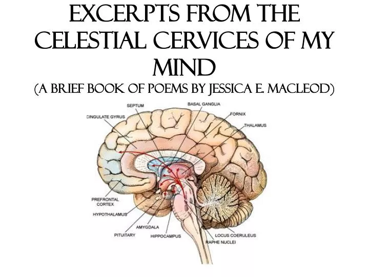 excerpts from the celestial cervices of my mind a brief book of poems by jessica e macleod