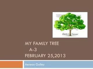 My family tree a-3 February 25,2013