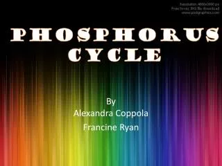 PHOSPHORUS CYCLE