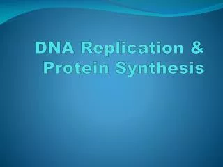 DNA Replication &amp; Protein Synthesis