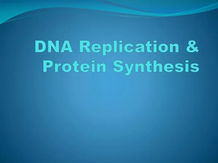 dna replication protein synthesis