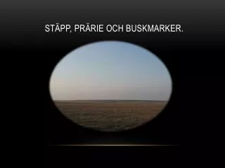 st pp pr rie och buskmarker
